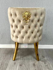 Back side view of Valentino mink velvet dining chair featuring lion head knocker detail, gold-finished legs and luxury upholstered design by solid furniture uk