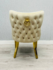 Back side view of Valentino mink velvet dining chair featuring ring knocker detail, gold-finished legs and luxury upholstered design by solid furniture uk
